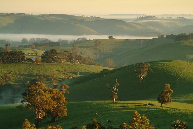 Discover the Ferguson Valley